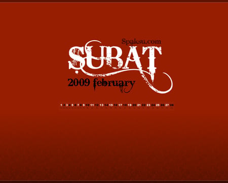 February 2009 Wallpaper - wallpapar, february, 2009, subat