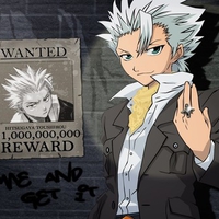 Toushiro Hitsugaya Wanted