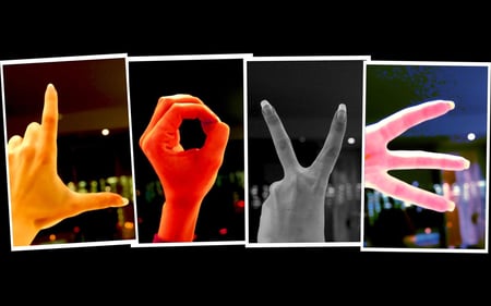 Love Sign Language - hands, love, valentines day, fingers, sign language, colors