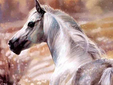 white horse