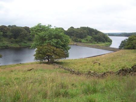 Yorkshire Water - water, tree, field, grass