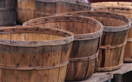 Baskets of Berries (WDS) - baskets, photography, wds, basket, widescreen