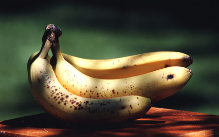 Bananas (WDS) - yellow, banana, photography, comestible, food, bananas, fruit