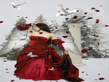 angel - winter, angel, dove, red