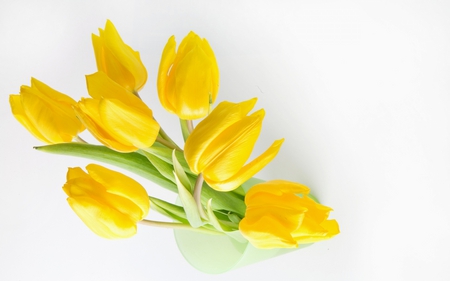 Beautiful Tulips - pretty, sunny, yellow, romantic, yellow tulip, romance, spring, yellow tulips, flowers, nice, vase, for you, beautiful, photography, beauty, lovely, with love, still life, tulip, bouquet, tulips, nature