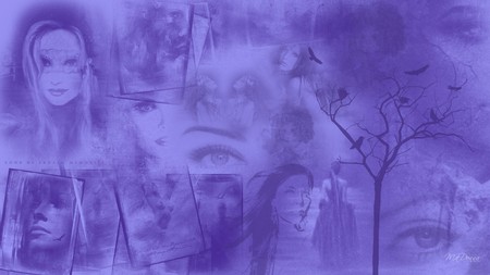 Memories in Purple - women, beauty, eyes, crows, fantasy, widescreen, fireros persona, tree, mysterious