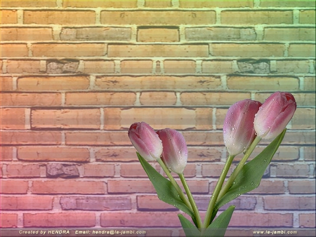 3-D FLowers - flowers, 3-d, cool, wallpaper