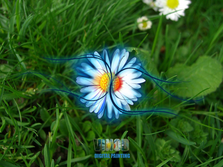 3-D FLower - 3-d, flower, cool, wallpaper