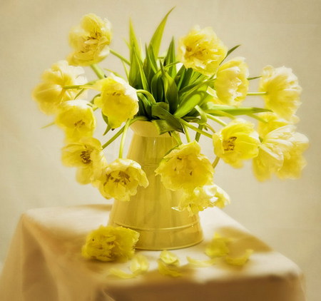 yellow tulips - vase, spring, tulips, yellow