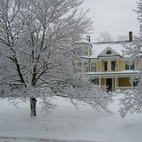 House behind Trees and snow