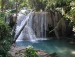 Agua Azul Falls calcified tree