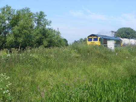 Here it comes. - train, sky, trees, speed, field, grass