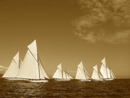 Sailboats - beautiful, sailboats, cool, picture