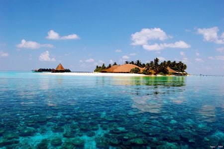 Beach House - clouds, house, water, tress, beach, beautiful, sky