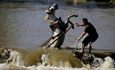 HELPING HANDS - river, rescue, white, helping, fell, man, horse