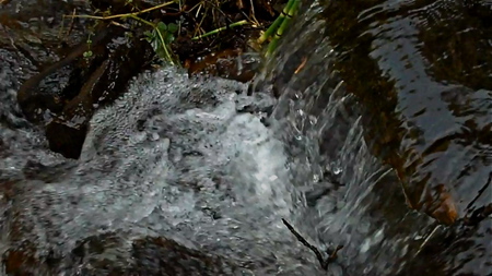 Headwaters - nature, water, headwaters, spring