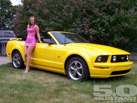 Model With Conv - conv, yellow, model, mustang