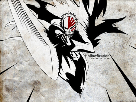 hollowfication - ichigo, hd, hollowfication, bleach