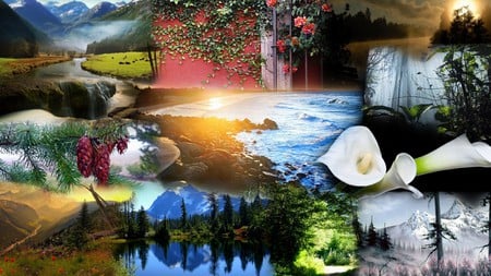 Beauty of Nature - lakes, mountains, flowers, trees, sunset