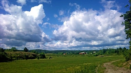 Middle Sweden - clouds, blue, beautiful, grass, forest, lovely, nature, green, hd, field, sky