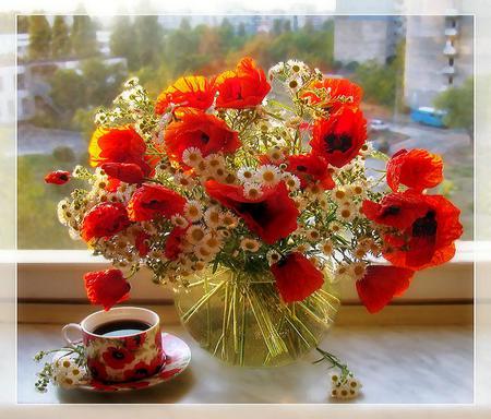 A perfect pair - pretty, poppies, window, home, flowers, glass vase, vase, poppy, water, koffee, beautiful, coffee, tea, morning, still life, saucer, art photo, cup