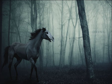 Scary Ghost Horse - scary, horse, fear, ghost