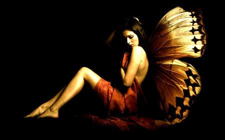 Fantastic Fairy - girl, fairy, female, wings