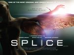 Splice