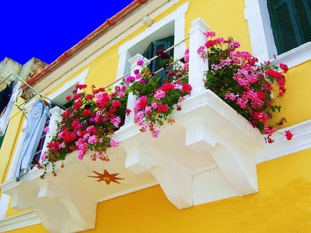 Window boxes plus - spain, window boxes, leaves, hanging, pinks, flowers, yellow white