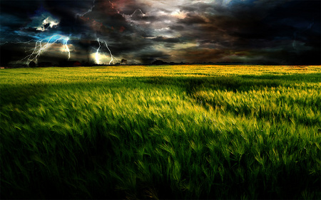 GRASS FIELD - stormy, grass, meadow, field, lightning