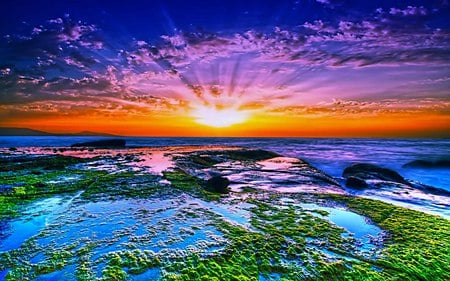 Morning Sunrise - beach, rock, sea, beauty, sunrise, sky