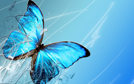 Blue Butterfly - flys, butterfly, abstract, wings, insect