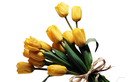 Yellow Bouquet - tulips, flowers, yellow, beautiful