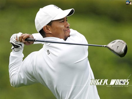 Swinger - swing, tournament, club, golf, tiger woods