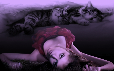 Sleep Well - woman, fantasy, cat, red