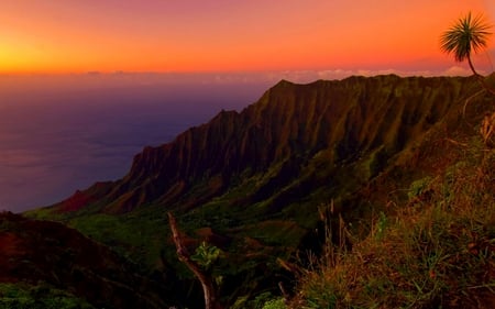 THE KALALAU VALLEY,KAUAI - kalalau valley, trees, mountain, cliff, moss, sunset, plants, rocky