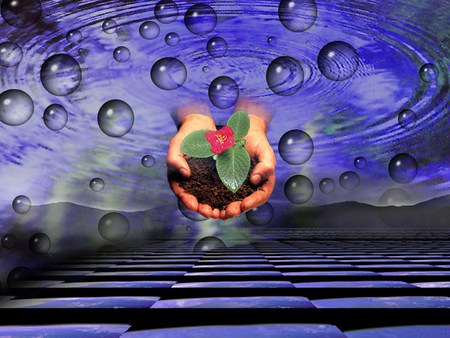 Precious life - hands, blue, holding, bubbles, new life, plant, sky