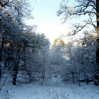 Cathkin Braes