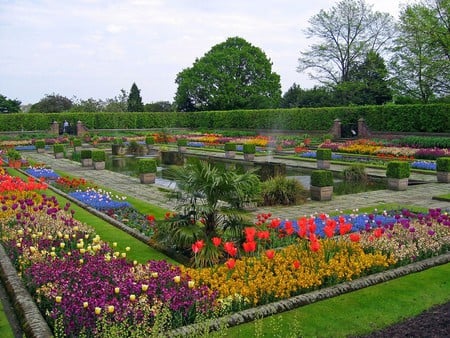 Garden Flowers