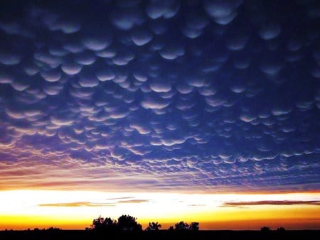 What kind of clouds? - clouds, sunlight, formation, evening, mammatus, sky