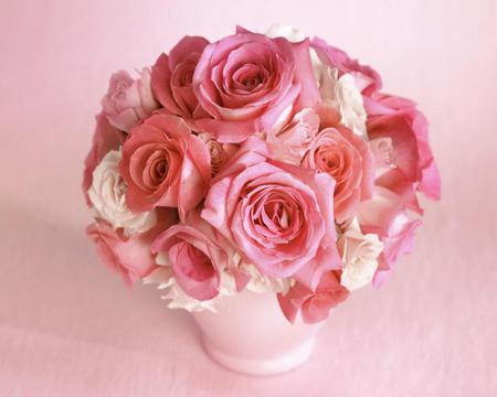 Pink roses - pretty, roses, beautiful, pink roses, beauty, lovely, flower, pinl, sweet, flowers, white, nature, rose, cute