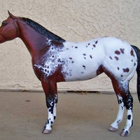 appaloosas model horse