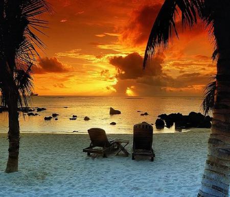 Watching the sunset - palm trees, ocean, beach, white sand, sunset sky, sunset, chairs, rocks, clouds, red, beautiful, orange, sand, calm water