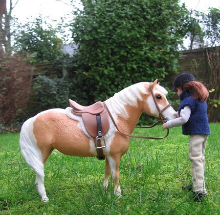 pony ride - small size, outside riding, painted pony, english riding