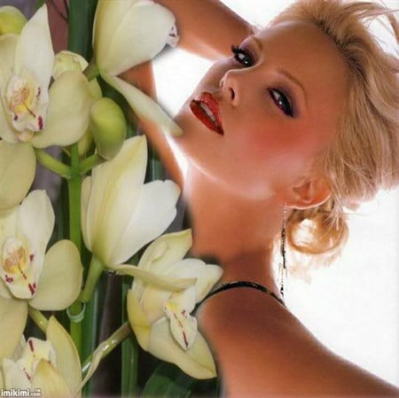 orchid beauty - white, blond, beauty, orchid