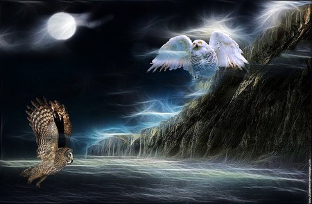 The night hunt - moon, owls, white, flight, brown, wings, cliffs, night