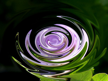 reflections of purple - flowers, irises, abstract, water, pond ripple, swirl