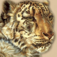 BIG CAT