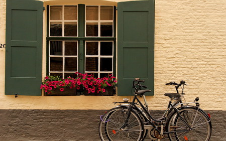 Window & A Bicycle - bicycle, flowers, house, window