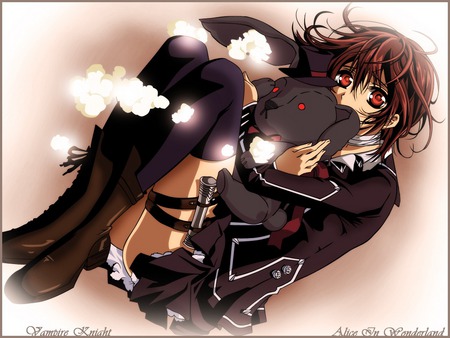 Yuki Cross - anime, abstract, vampire knight, yuki